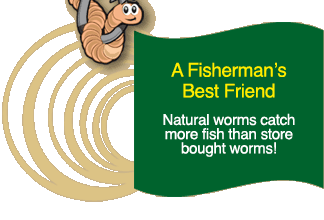 A Fisherman’s Best Friend - Natural worms catch more fish than store bought worms!